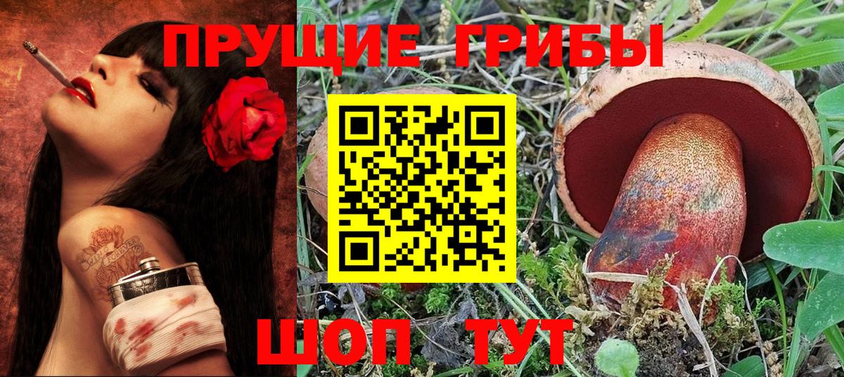 Скопин  Галлюциногенные грибы MAGIC MUSHROOMS  Вход с VPN 